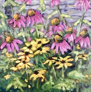 Cone Flowers and Black Eyed Susans